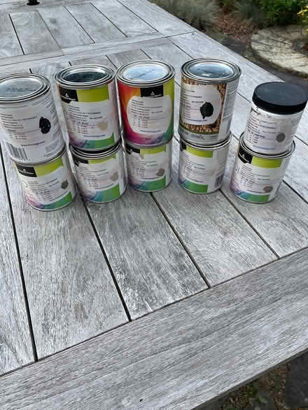 Photo of free Paint samples (Stone Ridge, NY) #2