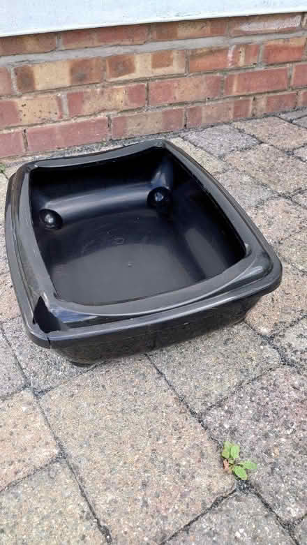 Photo of free Cat stuff (Tonbridge) #1