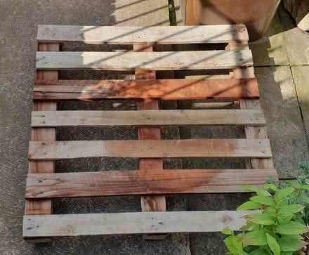 Photo of free 2 clean wood pallets. Must be gone by Sunday evening (Newton Hill WF1) #2