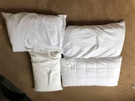 Photo of free Pillows (Quarndon DE22) #2