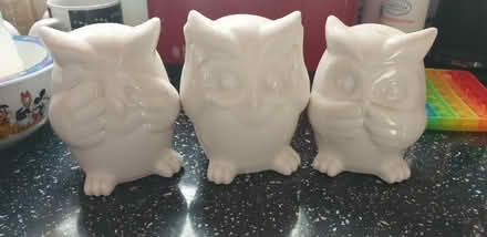 Photo of free Owl ornaments (Havant PO9) #1