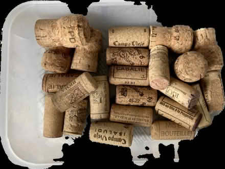 Photo of free Corks - for craft projects (Weston) #1
