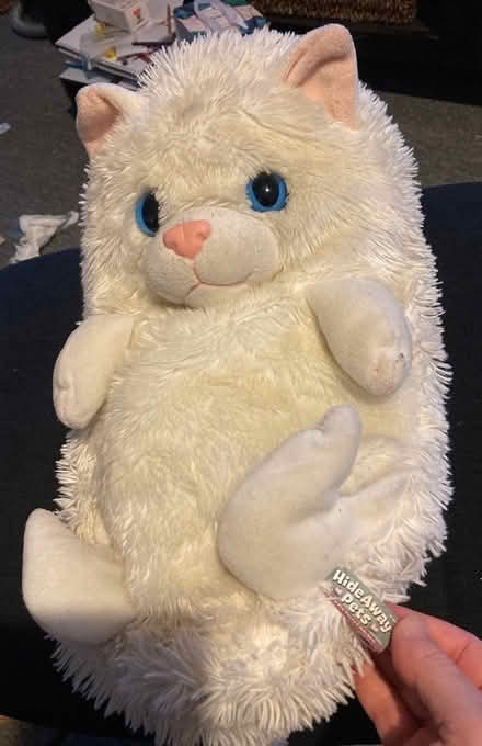Photo of free various items (lane cove) #1
