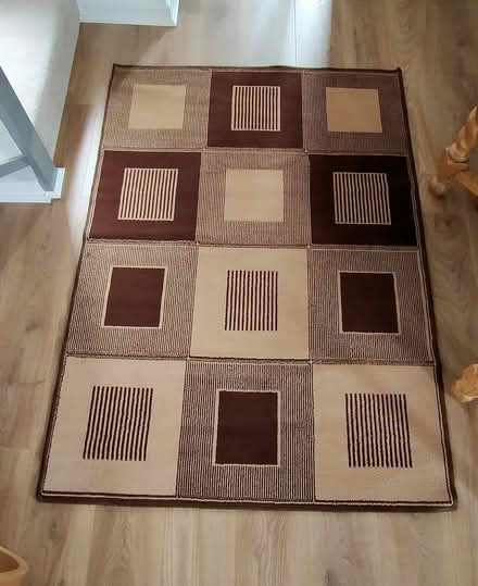 Photo of free Rug, brown and beige, 165x115 cm (Leek ST13) #1