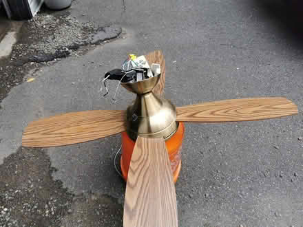 Photo of free 44 inch ceiling fan (Vanier north) #3