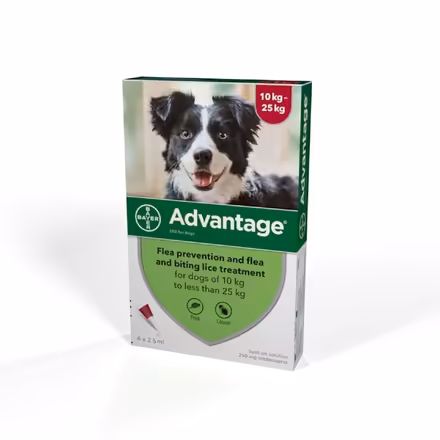 Photo of Advantage/Advocate flea treatment (Clive Vale TN35) #1