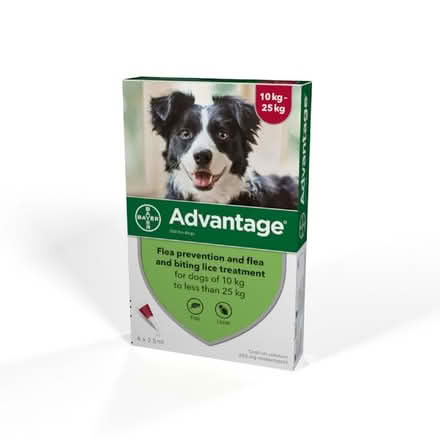 Photo of Advantage/Advocate flea treatment (Clive Vale TN35) #1