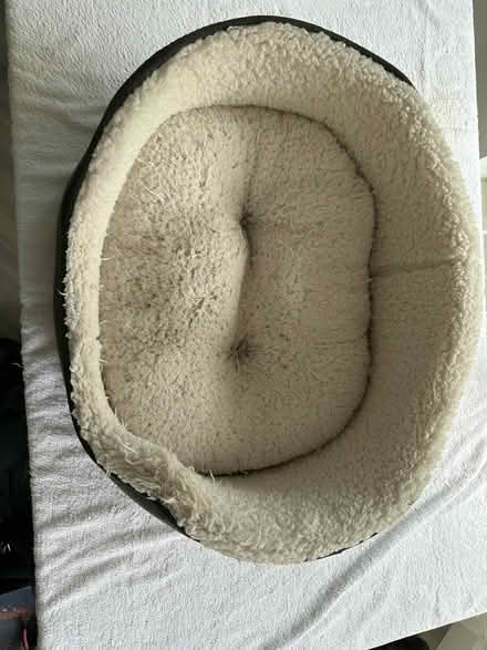 Photo of free Dog Bed (South Shields NE34) #2
