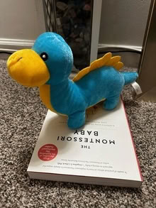 Photo of free Dinosaur 20871 #2