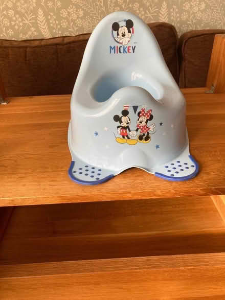 Photo of free Clean hardly used Potty (Parson's Heath CO4) #1