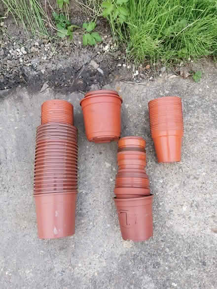 Photo of free Plastic garden pots (CB4) #1