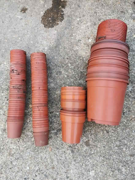 Photo of free Plastic garden pots (CB4) #3