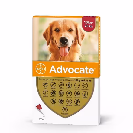 Photo of Advantage/Advocate flea treatment (Clive Vale TN35) #2