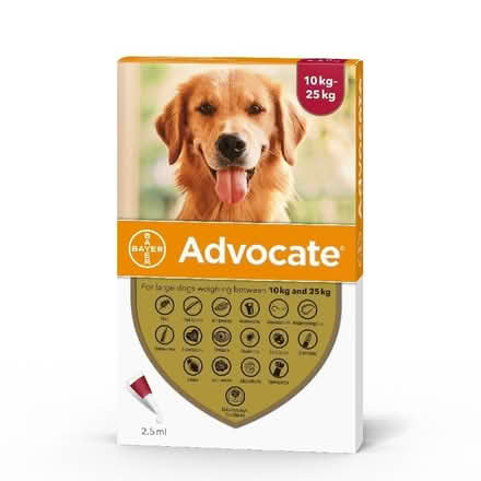 Photo of Advantage/Advocate flea treatment (Clive Vale TN35) #2