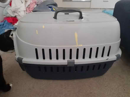 Photo of free Cat carrier (Fallowfield M14) #4