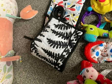 Photo of free Tummy time roller and various other toys (Old Town TN40) #1