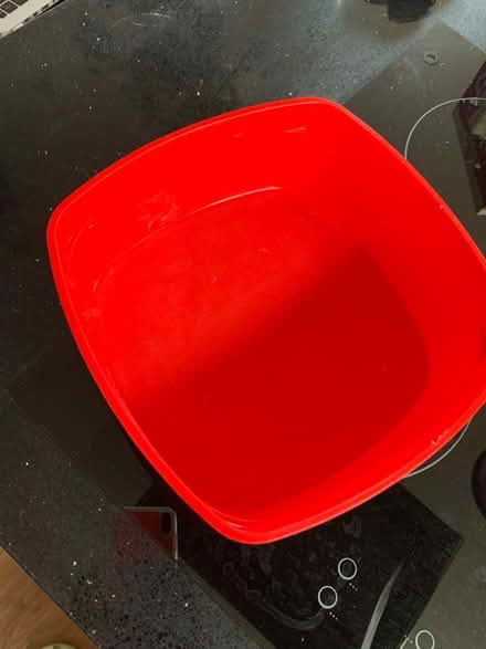 Photo of free Sistema 3.2l container (BFA (Walthamstow E17) #3