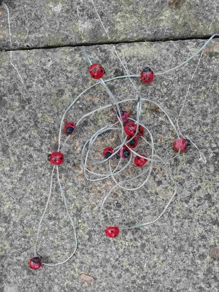 Photo of free Decorative ladybirds (Bowbridge GL5) #1