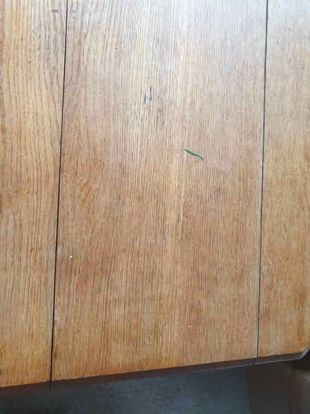 Photo of free Old pine table needs tlc (Wargrave RG10) #2
