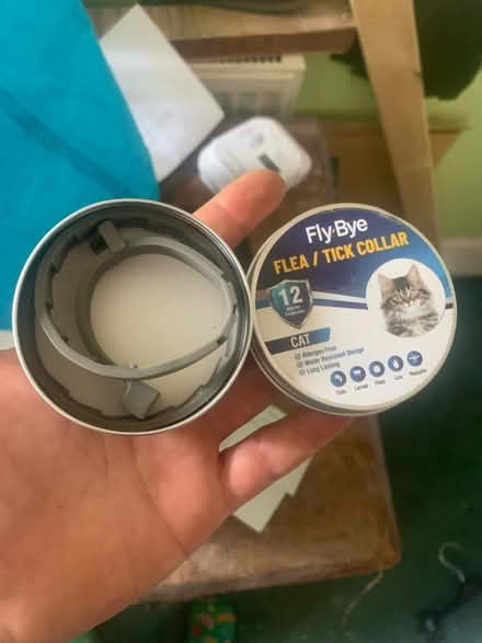 Photo of free Cat flea collar (BN2 Hartington road) #1