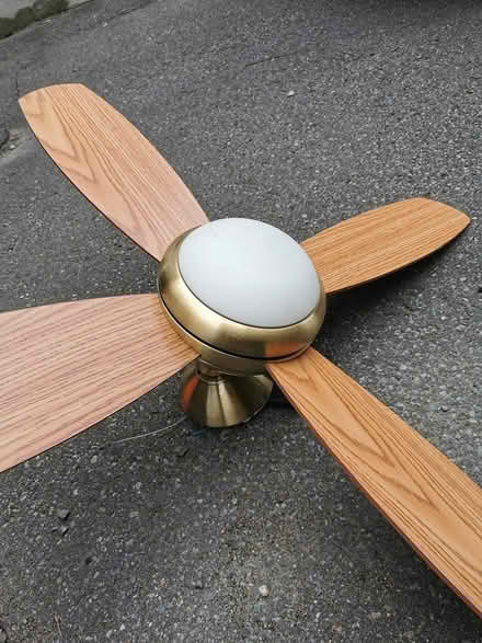 Photo of free 44 inch ceiling fan (Vanier north) #1