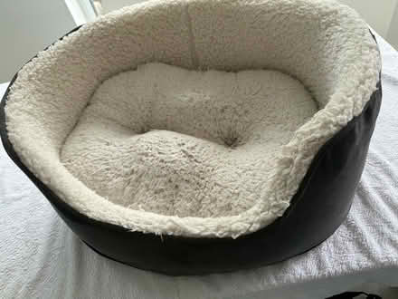 Photo of free Dog Bed (South Shields NE34) #1
