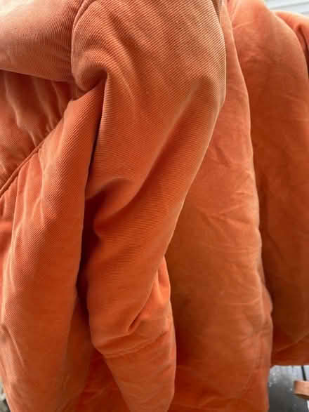 Photo of free Orange Futon cover (Spring Hill) #1