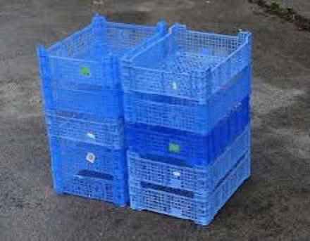Photo of free used mushroom trays (guildford GU1) #1