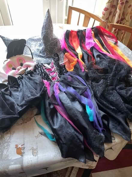 Photo of free Children’s Halloween Dress-up clothes (Abbey Wood SE2) #3
