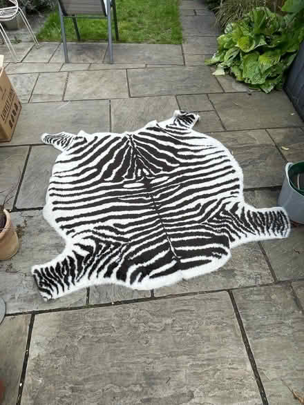 Photo of free Zebra rug (Bishops stortford) #1