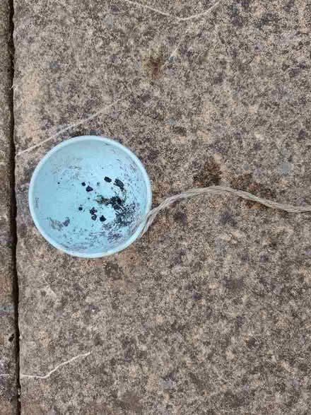 Photo of free Hanger for homemade suet balls for birds (Bowbridge GL5) #1