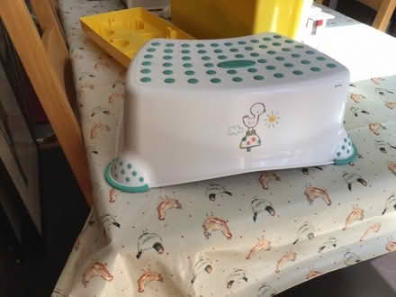 Photo of free Toddler bathroom step (Parson's Heath CO4) #1