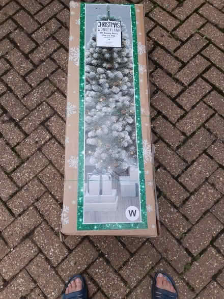 Photo of free Christmas Tree (TR7) #1