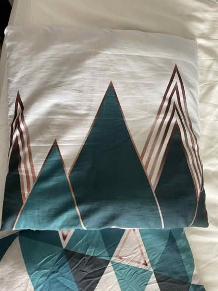 Photo of free Throw cushions (Ballyfermot) #2