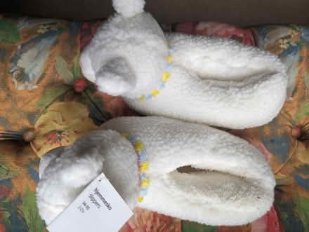 Photo of free Lamb slippers size 2-2 1/2 (Glasgow G20) #2