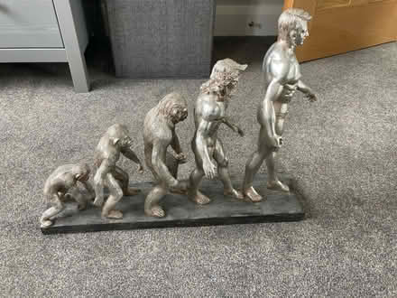 Photo of free Ornament - evolution (Rathfarnham) #1