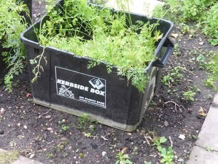 Photo of Black Recycling Kerbside Boxes (RG40 - off Easthampstead Rd) #1