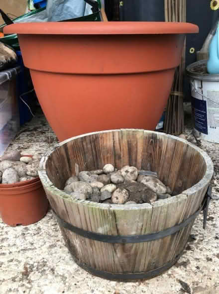 Photo of free Flower pots (Waterlooville PO7) #1