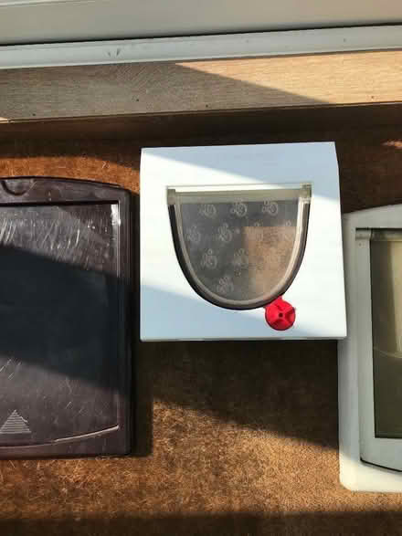 Photo of free Staywell Cat flap (Dersingham PE31) #1