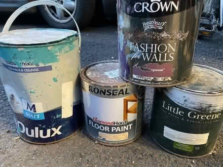 Photo of free Old Paint (Weston) #1