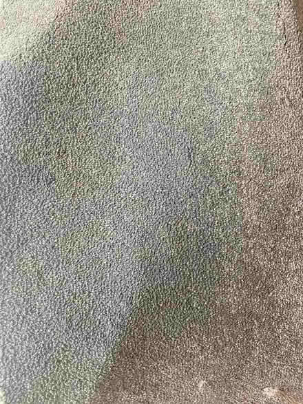 Photo of free Offcut Carpet 1.7 x 2.5 metres. (Charlestown of Aberlour AB38) #1
