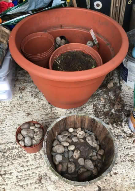 Photo of free Flower pots (Waterlooville PO7) #2