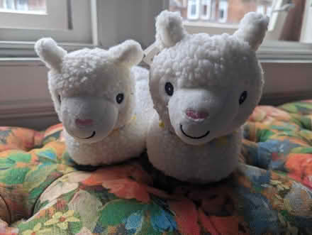 Photo of free Lamb slippers size 2-2 1/2 (Glasgow G20) #1