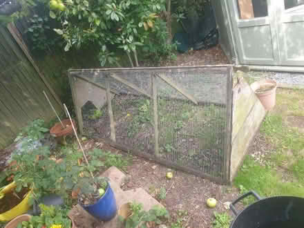 Photo of free Chicken Run (Patcham BN1) #1