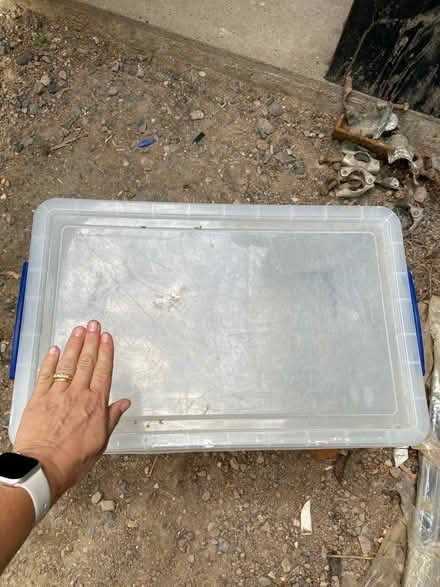 Photo of free Large Plastic Box With Lid (CT5) #3