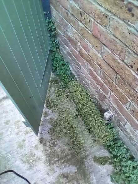 Photo of free Chicken wire netting (Bognor Regis PO21) #1