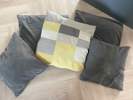 Photo of free 5 large grey cushions (Pembury TN2) #1