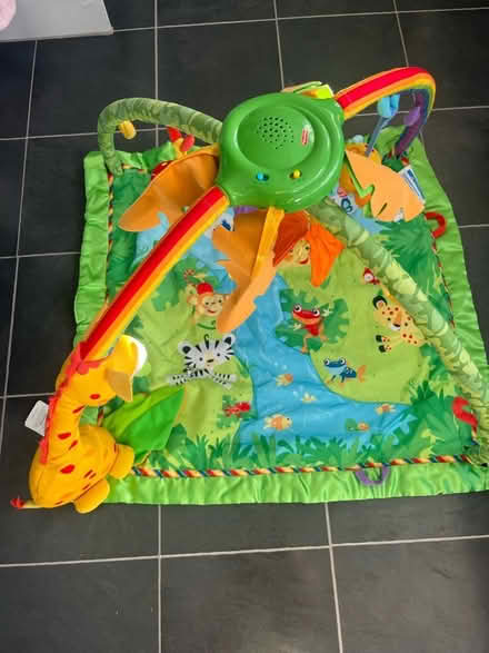 Photo of free Rainforest Baby Gym (Sutton SM1) #1
