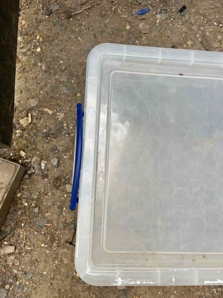 Photo of free Large Plastic Box With Lid (CT5) #2