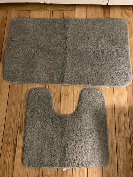 Photo of free Bathroom mats (South Arlington (Claremont)) #1